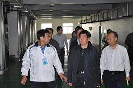 河北省委常委、副省長(zhǎng)楊崇勇到我公司視察